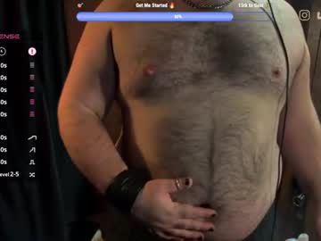 bearzbeetz