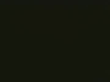 blknoranged33