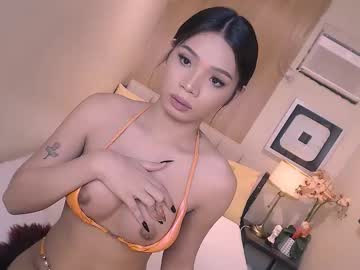 haisleypalmer