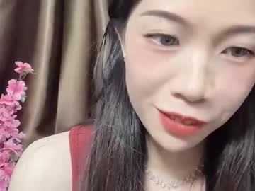lynnalltop 165 